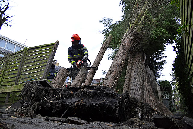 2013/326/GB 20131224a 005 Kam Onneslaan stormschade.jpg